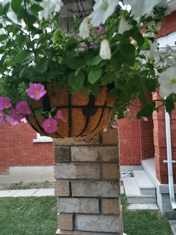 Photo - commentaire 7.