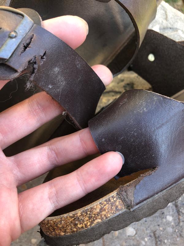 Photo - commentaire&nbsp;7.