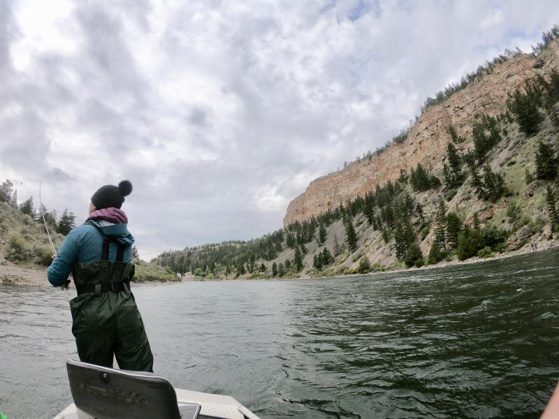 Photo - commentaire 2.