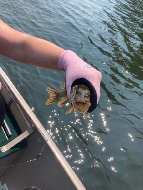 Photo - commentaire&nbsp;2.