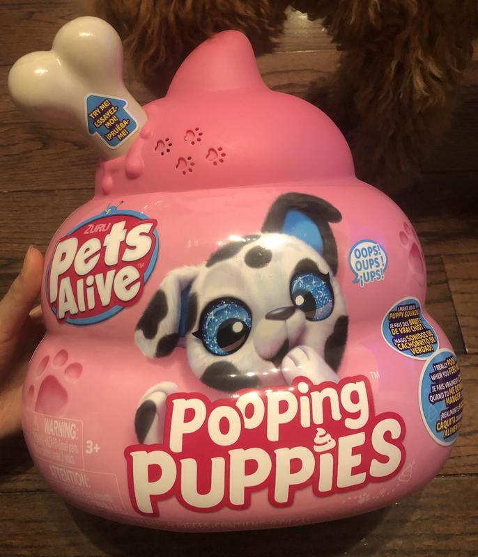 Photo - commentaire&nbsp;4.