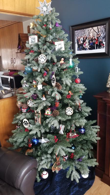 Photo - commentaire 4.