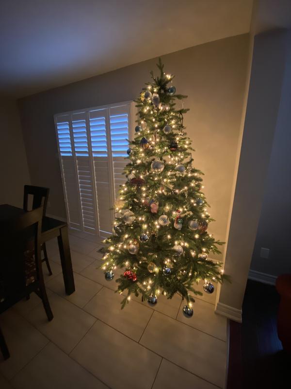 Photo - commentaire&nbsp;3.