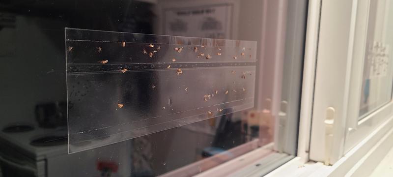 Photo - commentaire&nbsp;3.