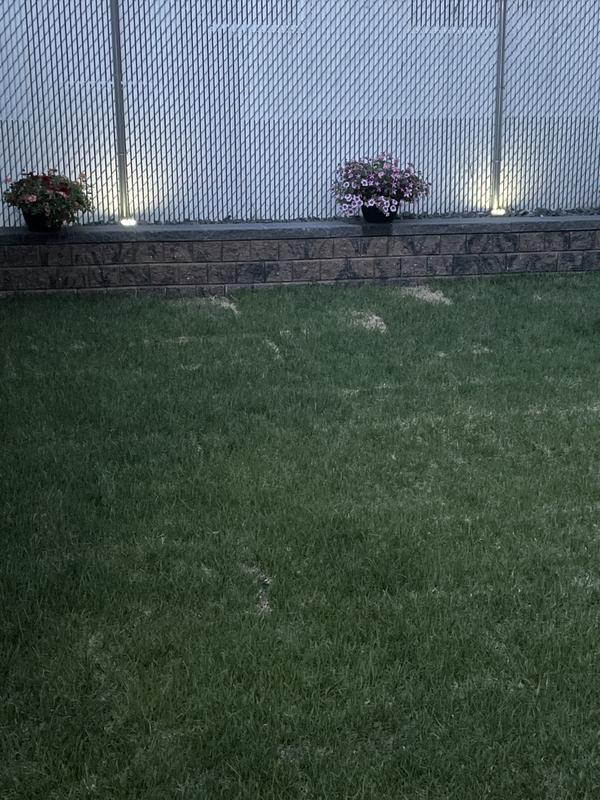 Photo - commentaire 3.