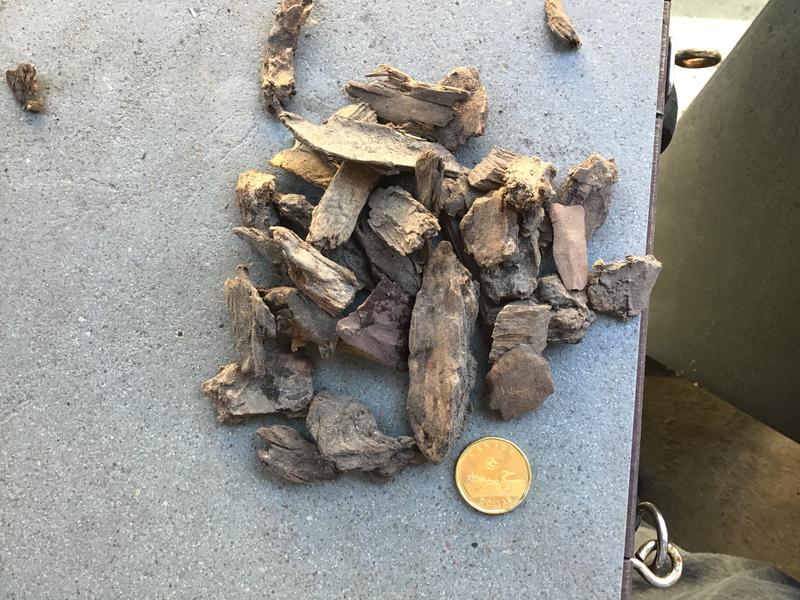 Des morceaux d’écorce beaucoup trop gros.