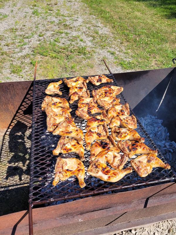 Photo - commentaire&nbsp;5.