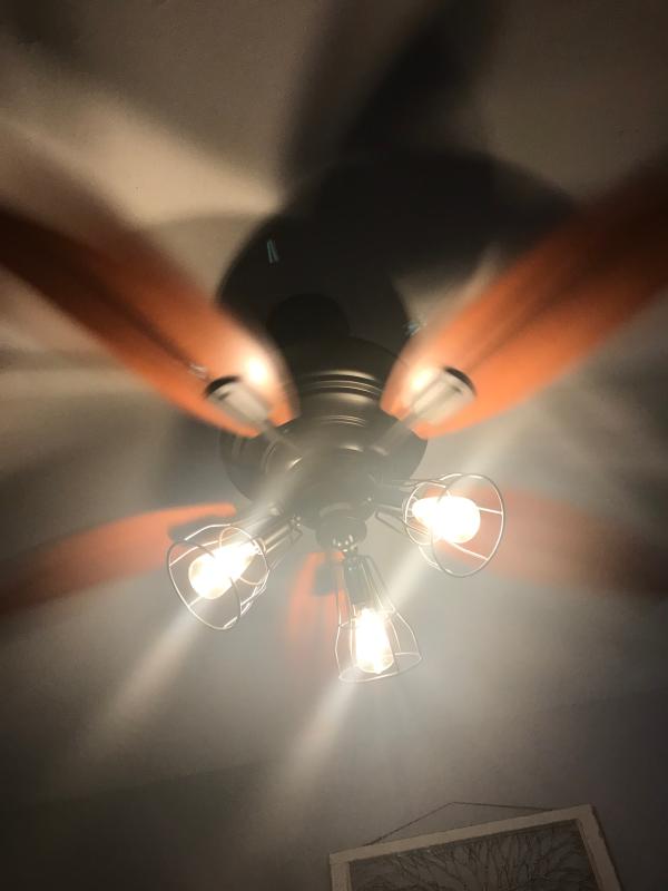 The fan in action :)