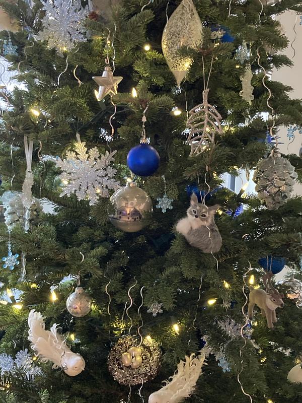 Photo - commentaire&nbsp;6.