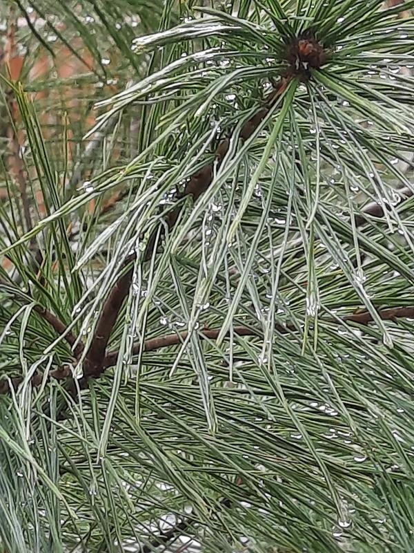 Photo - commentaire&nbsp;2.