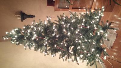 The picture of the lit tree was taken in the dark...the lights are so nice and bright it looks as though other lights were on at the time.