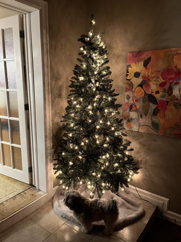 Photo - commentaire&nbsp;2.