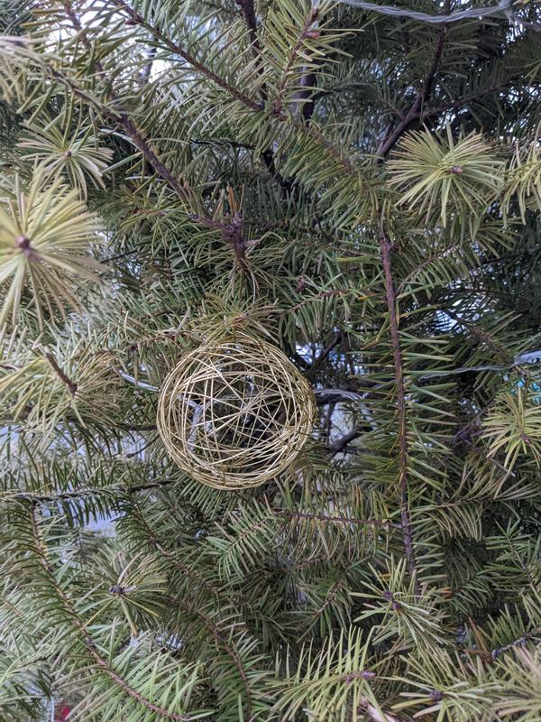 Photo - commentaire 2.