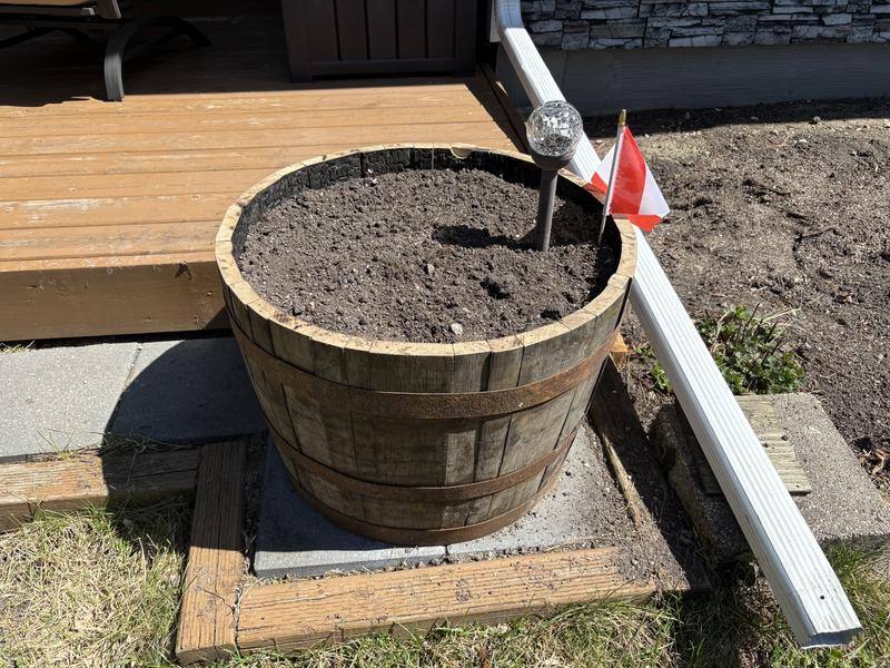 Photo - commentaire 1.