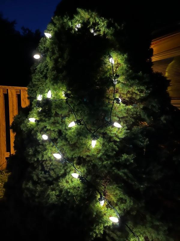 Photo - commentaire&nbsp;5.