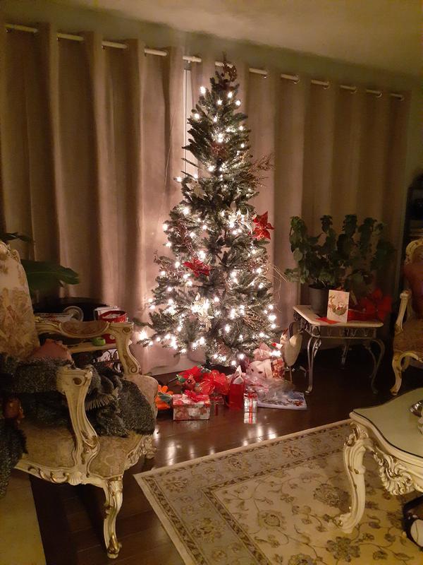 Photo - commentaire&nbsp;3.