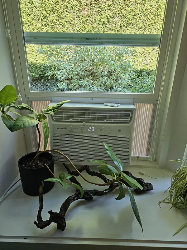 Photo - commentaire&nbsp;3.