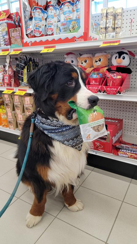 Waiting in line with my yummy treats!