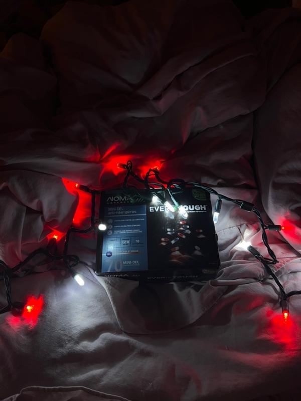 Photo - commentaire 4.