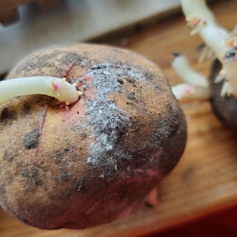 Photo - commentaire 1.