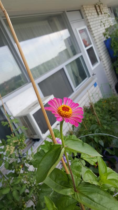 Photo - commentaire&nbsp;1.