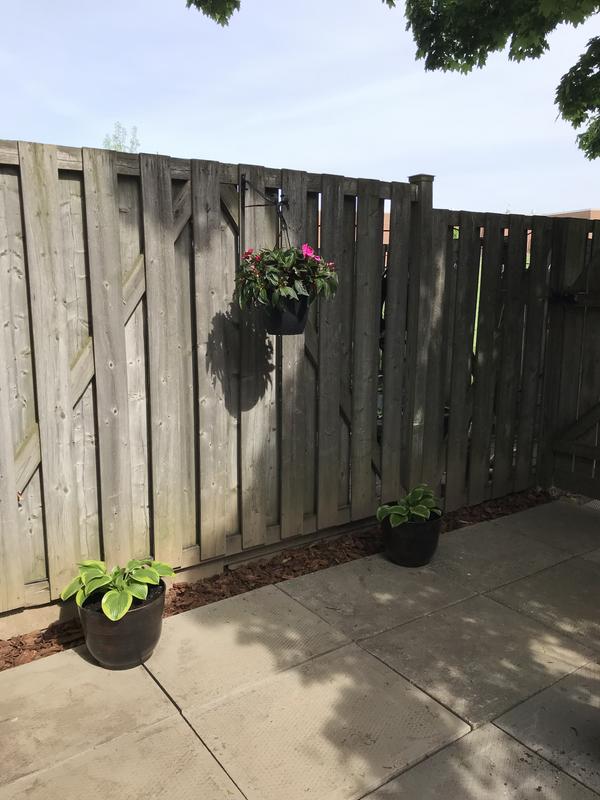 Photo - commentaire 2.