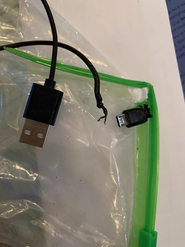 Photo - commentaire 6.