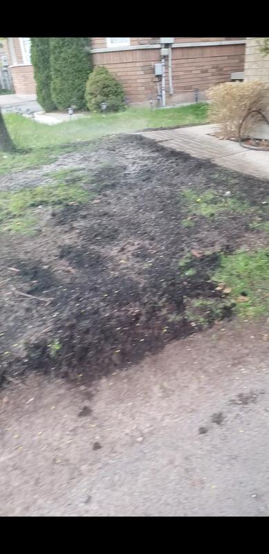 Photo - commentaire 8.