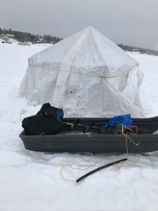 Photo - commentaire 2.