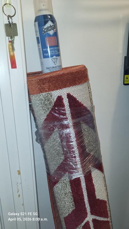 Best protector fir outdoor rugs