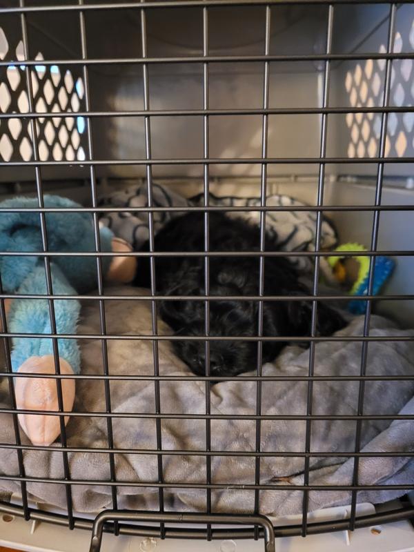 Photo - commentaire 6.