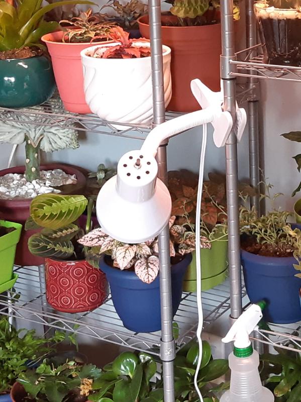 Photo - commentaire&nbsp;4.