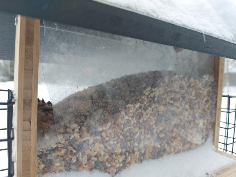 Chunks of the window which have broken off