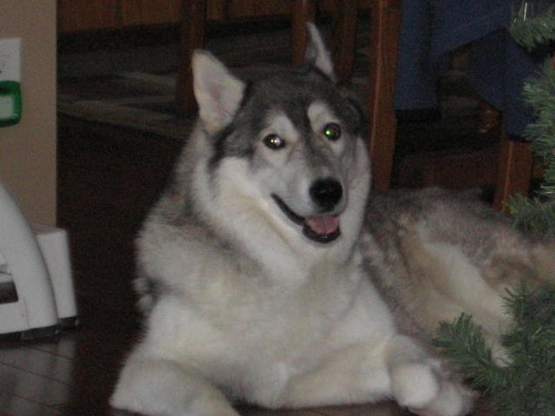 Photo - commentaire&nbsp;6.