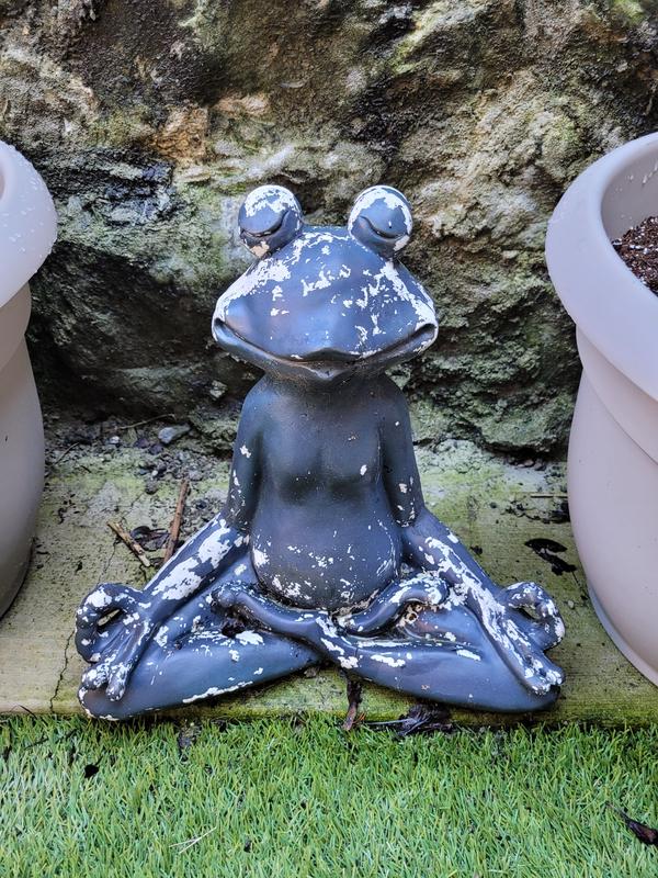 Photo - commentaire 4.