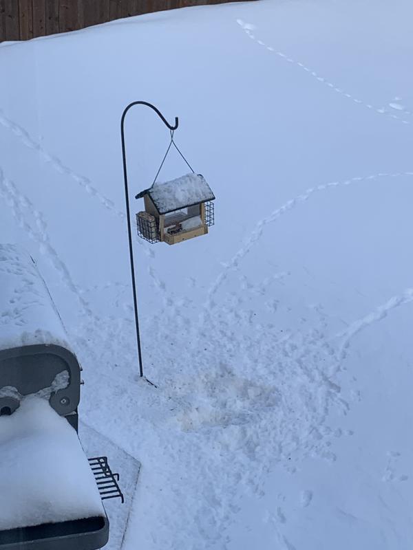 Photo - commentaire&nbsp;1.