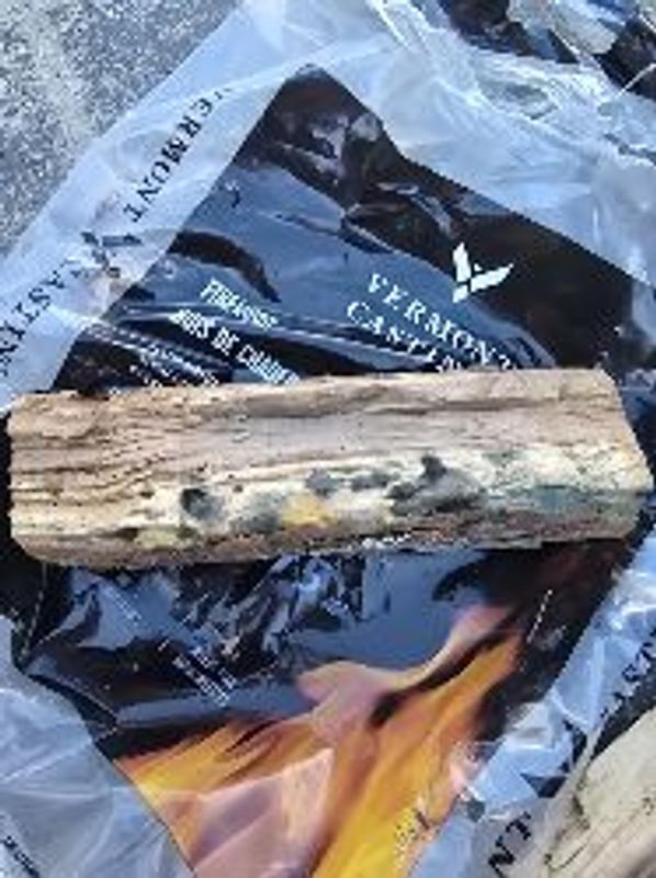 Photo - commentaire 2.