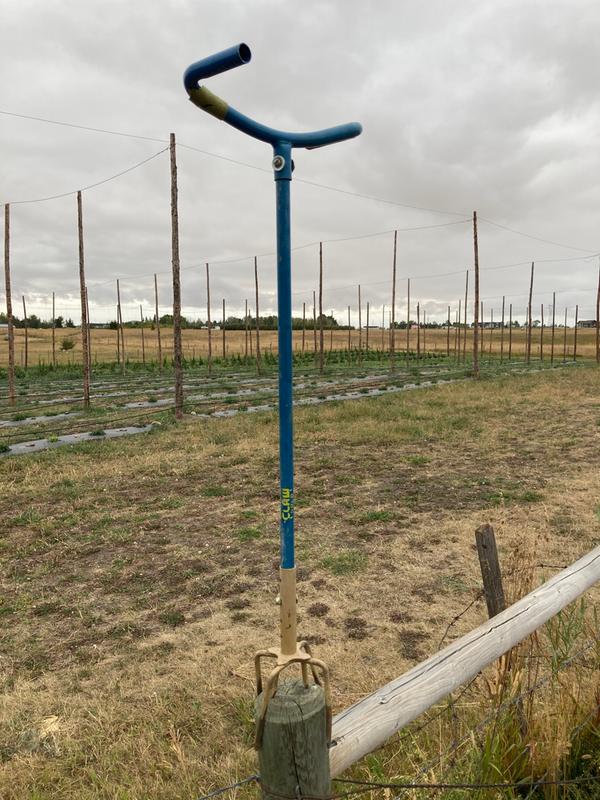 The Garden Claw is a beauty!