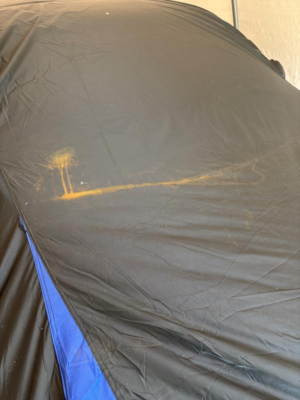 Photo - commentaire 5.