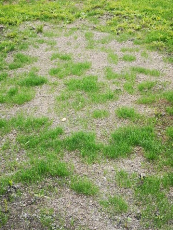 Photo - commentaire 1.