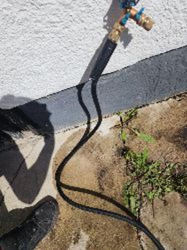 Photo - commentaire 1.