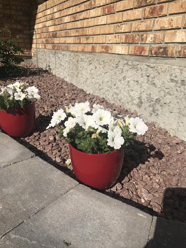 Photo - commentaire&nbsp;8.