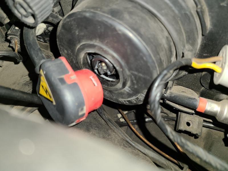 Driver side exploded base of bulb