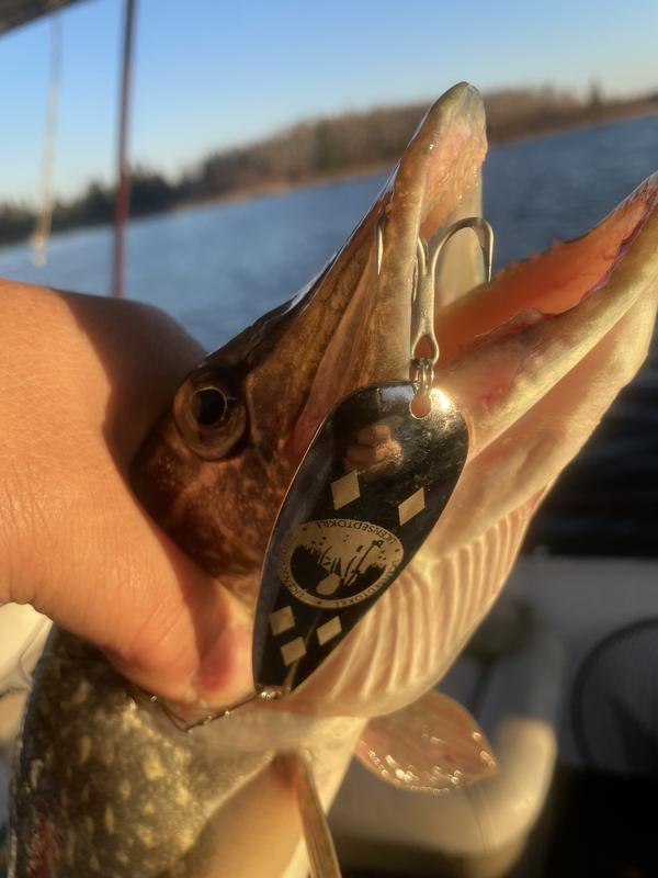 Photo - commentaire&nbsp;1.