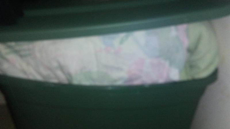 Review photo 5.
