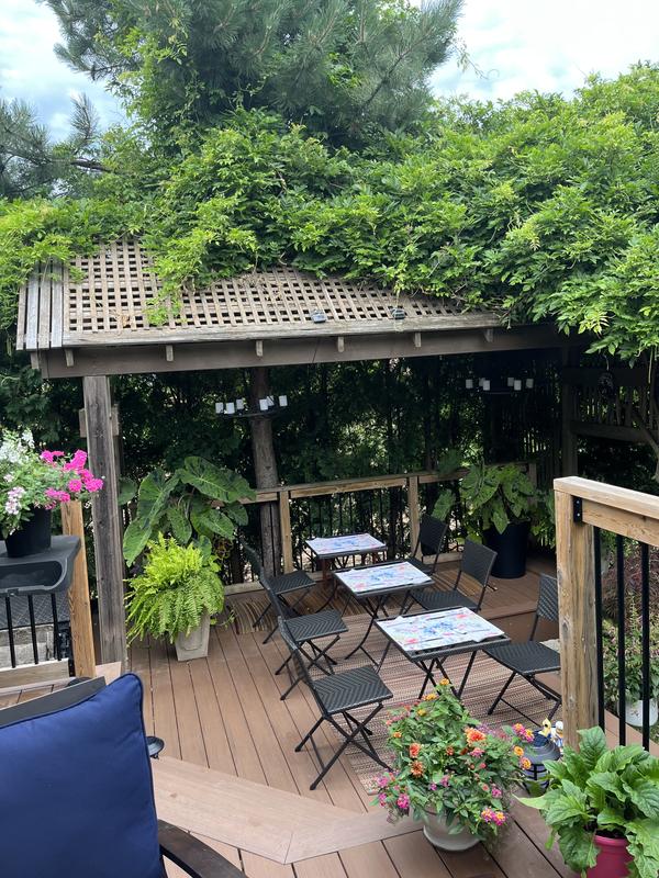 Photo - commentaire&nbsp;1.