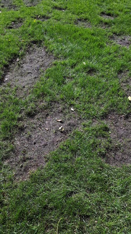 Photo - commentaire 6.