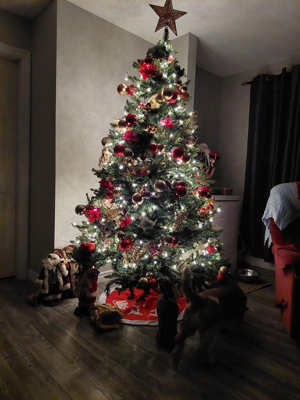 Photo - commentaire 2.