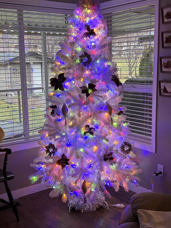 Photo - commentaire&nbsp;7.