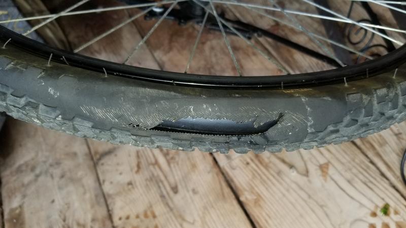 Photo - commentaire&nbsp;4.